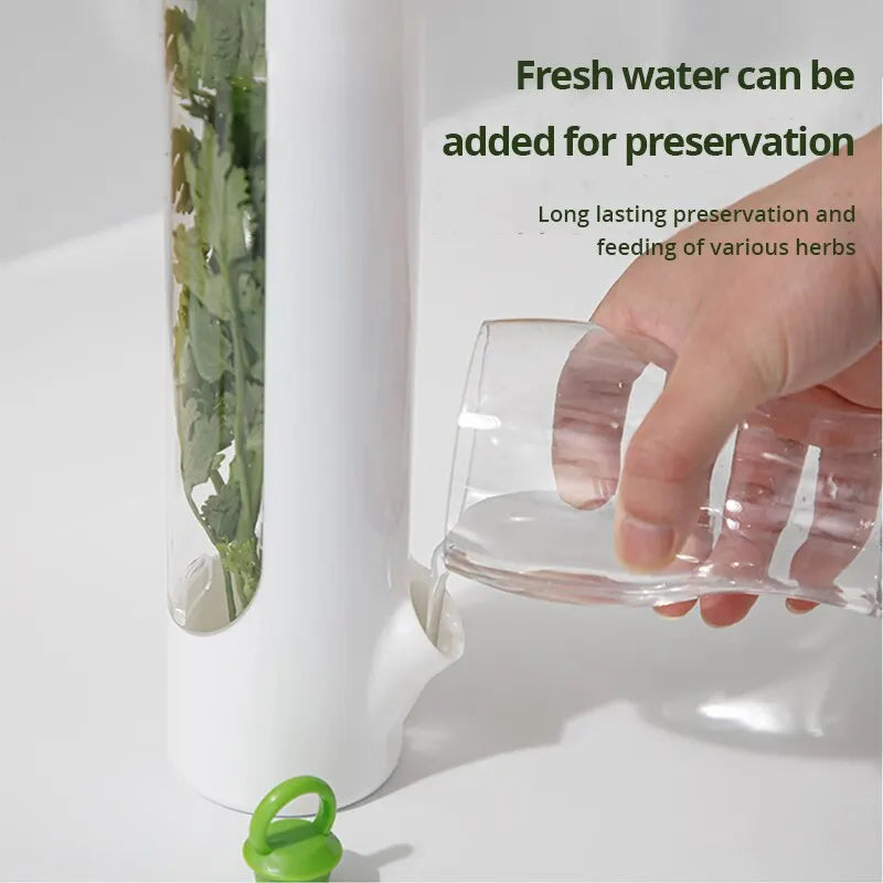 FREEME™ Herb & Botanical Preserving Bottle - Keep Your Sacred Plants Fresh