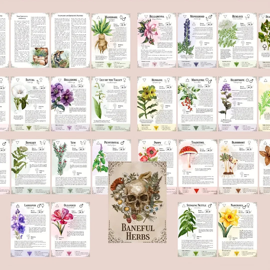 FREEME™ Ultimate Herbal Handbook - Plant Illustrations & Herbal Remedies Guide