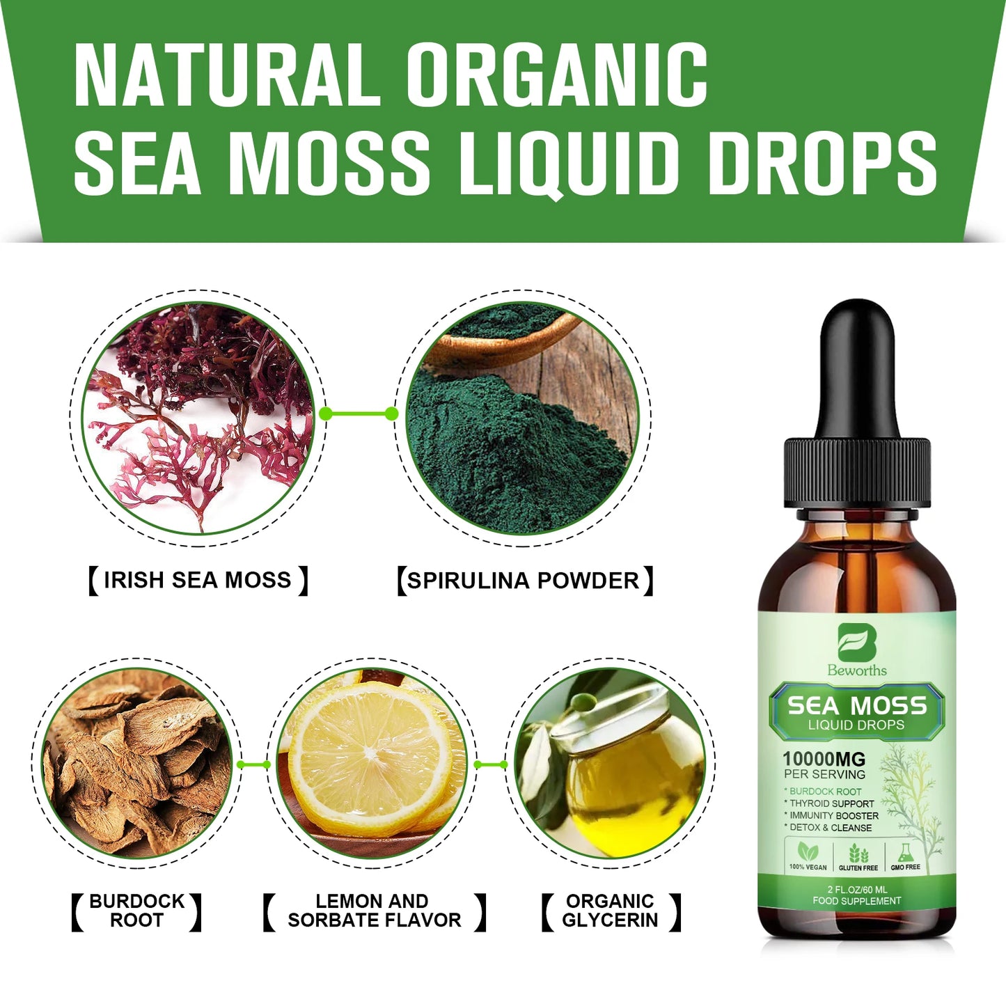 FREEME™ Sea Moss Liquid Drops - Sea Moss Black Seed Oil Multimineral Seamoss Supplement Support Antioxidant, Immune, Gut Health